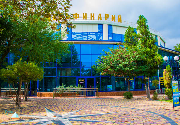 Дельфинарий в Евпатории