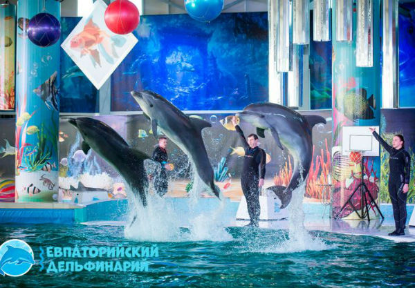Евпаторийский дельфинарий